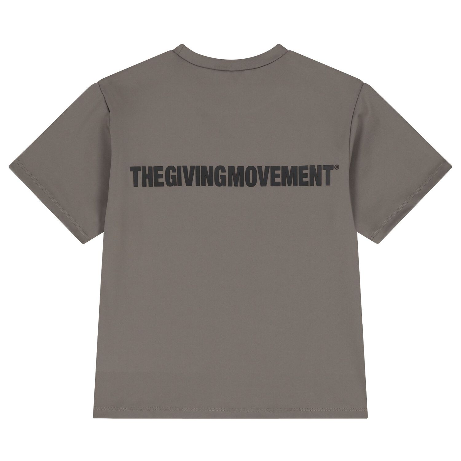 Beige Regular Fit T-Shirt, 3, hi-res