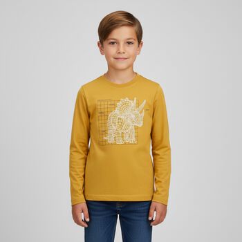 Boys Yellow Dinosaur Long Sleeve Top
