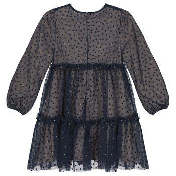 Girls Navy Blue Heart Tulle Dress