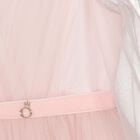 Girls Pink Sheer Sleeves Tulle Dress, 1, hi-res