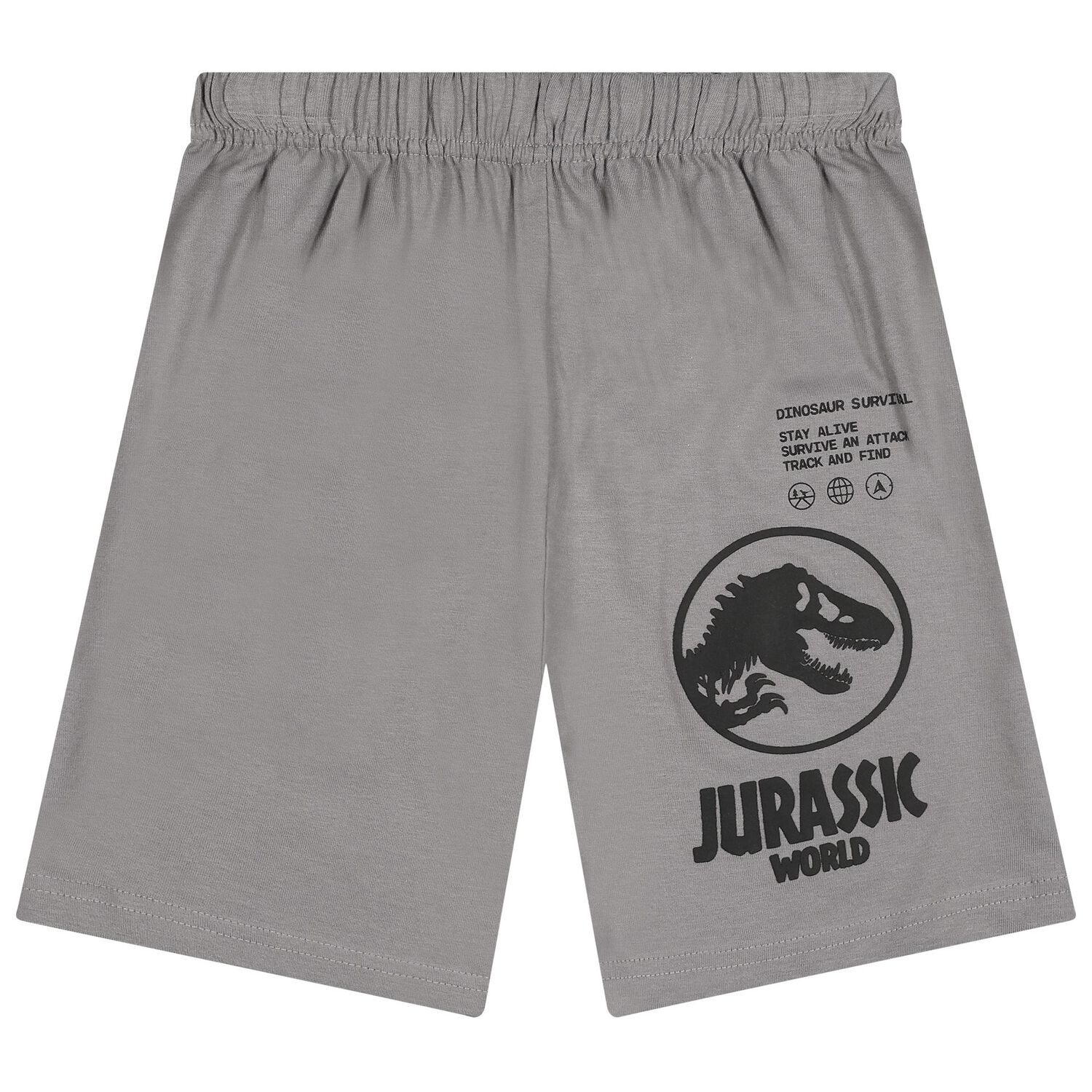 Boys Grey Jurassic Shorts Set, 1, hi-res