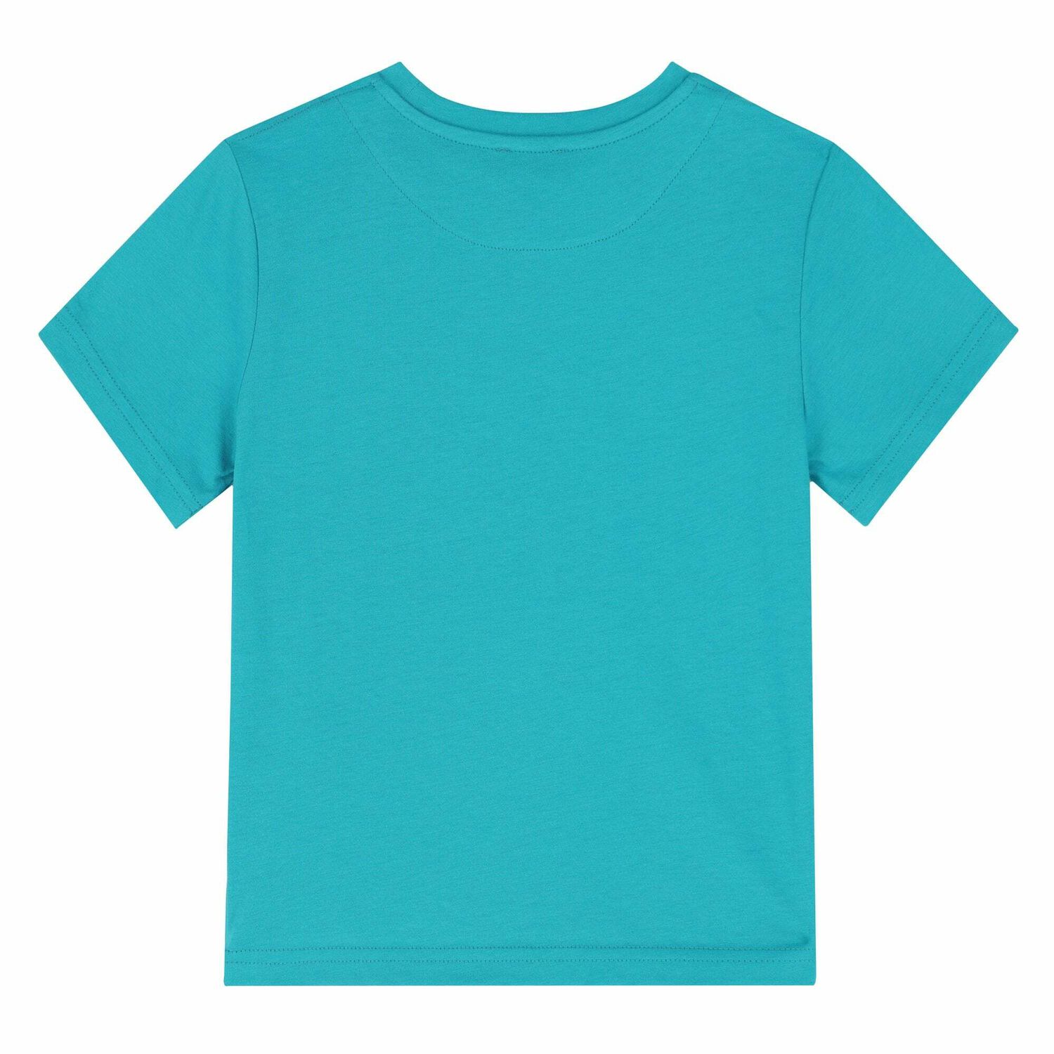 Boys Blue Turtle T-Shirt, 2, hi-res image number null
