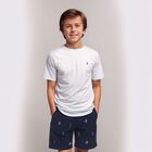 Boys Navy Blue Embroidered Shorts, 1, hi-res