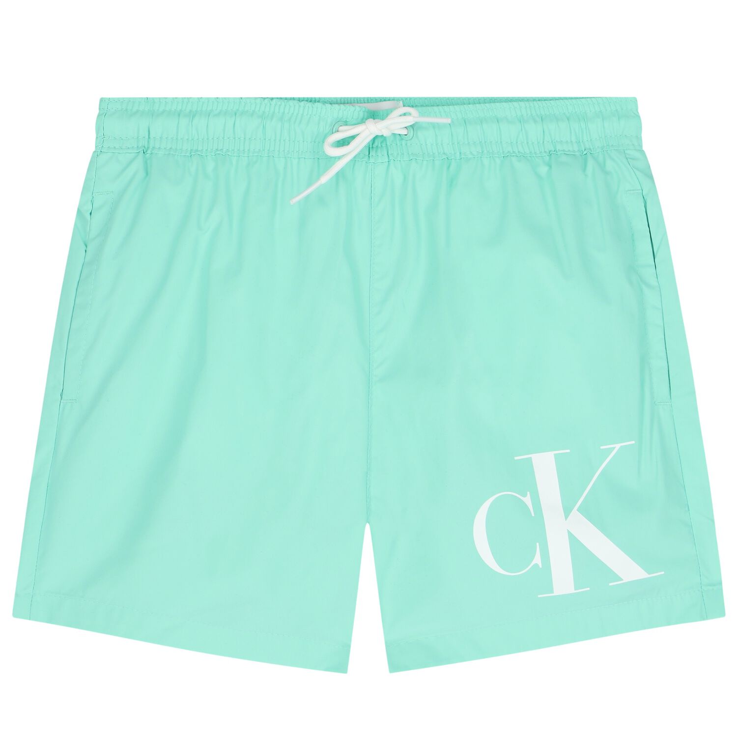 Boys Aqua Logo Swim Shorts, 1, hi-res image number null