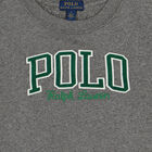 Boys Grey Logo Sweatshirt, 1, hi-res