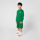 Boys Green Dice Logo Shorts, 1, hi-res