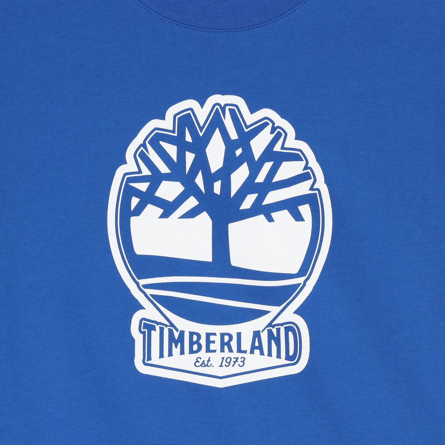 تي شيرت بشعار باللون الأزرق للأولاد, 6, hi-res