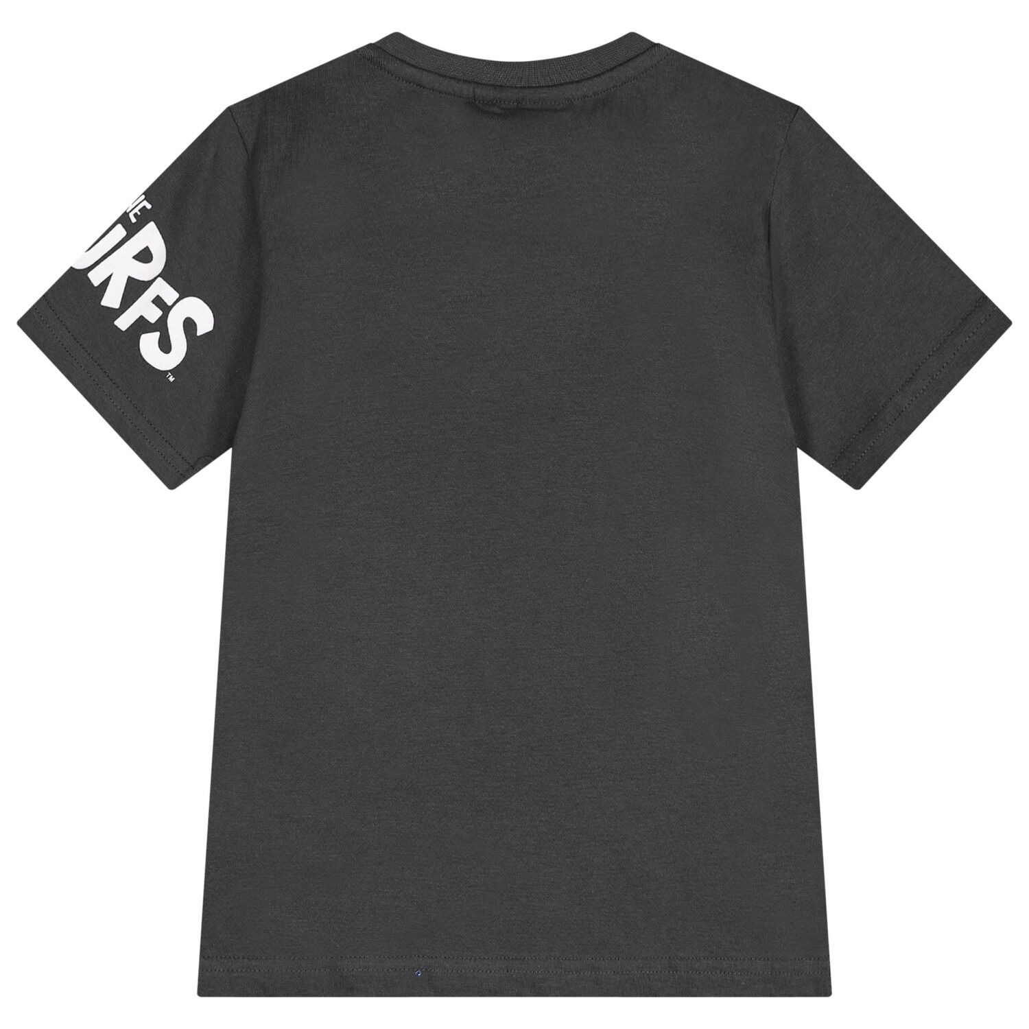 Boys Grey Smurfs T-Shirt, 1, hi-res