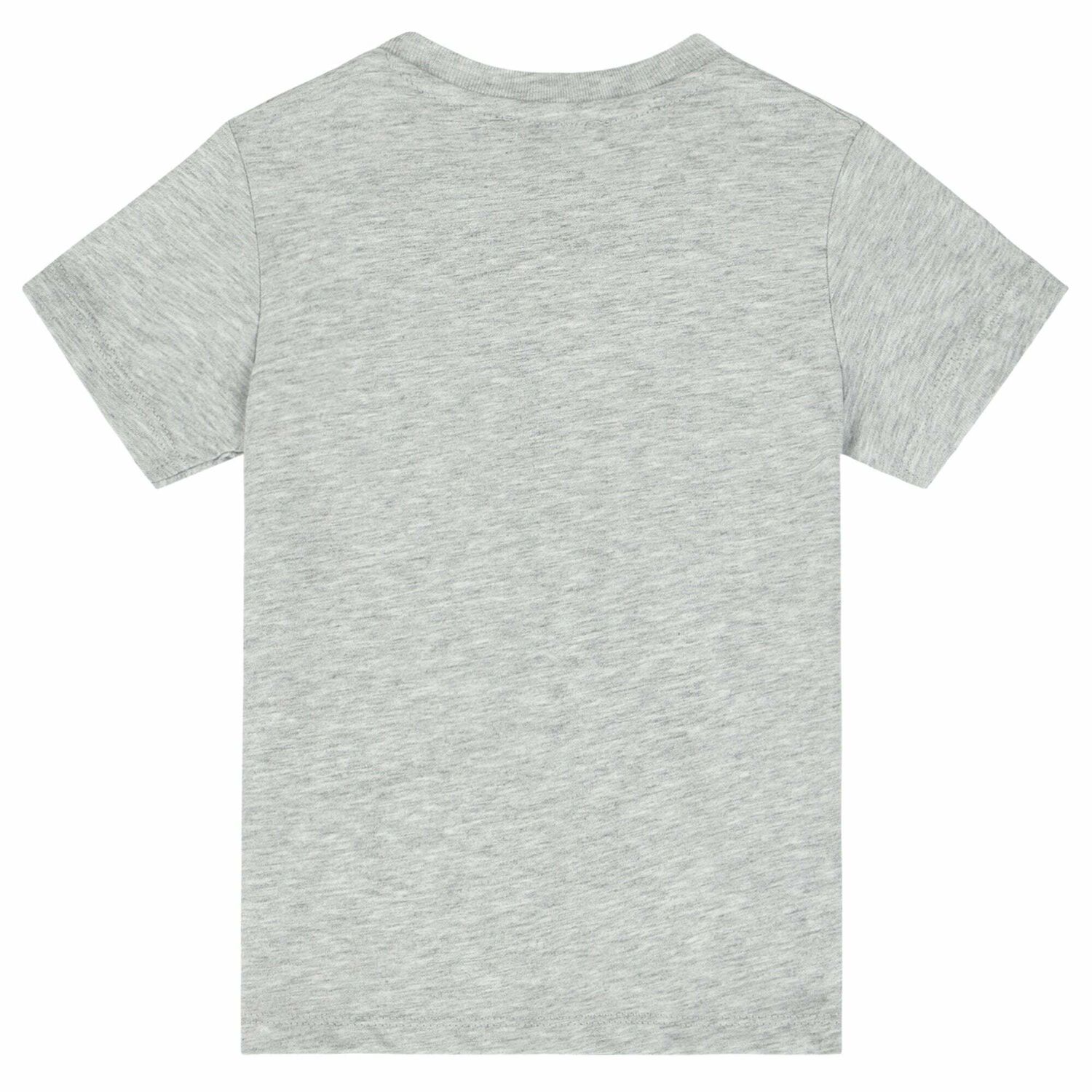 Younger Boys Grey Tiger T-Shirt, 1, hi-res image number null