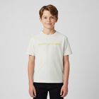 تيشيرت بالشعار باللون الرمادي , 2, hi-res