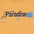 طقم شورت أبيض وبرتقالي وأزرق للأولاد الصغار, 2, hi-res