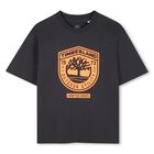 Boys Grey Logo T-Shirt, 1, hi-res