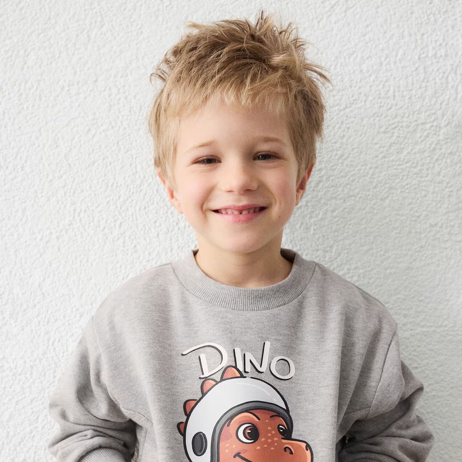 Boys Grey Dino Sweatshirt, 2, hi-res