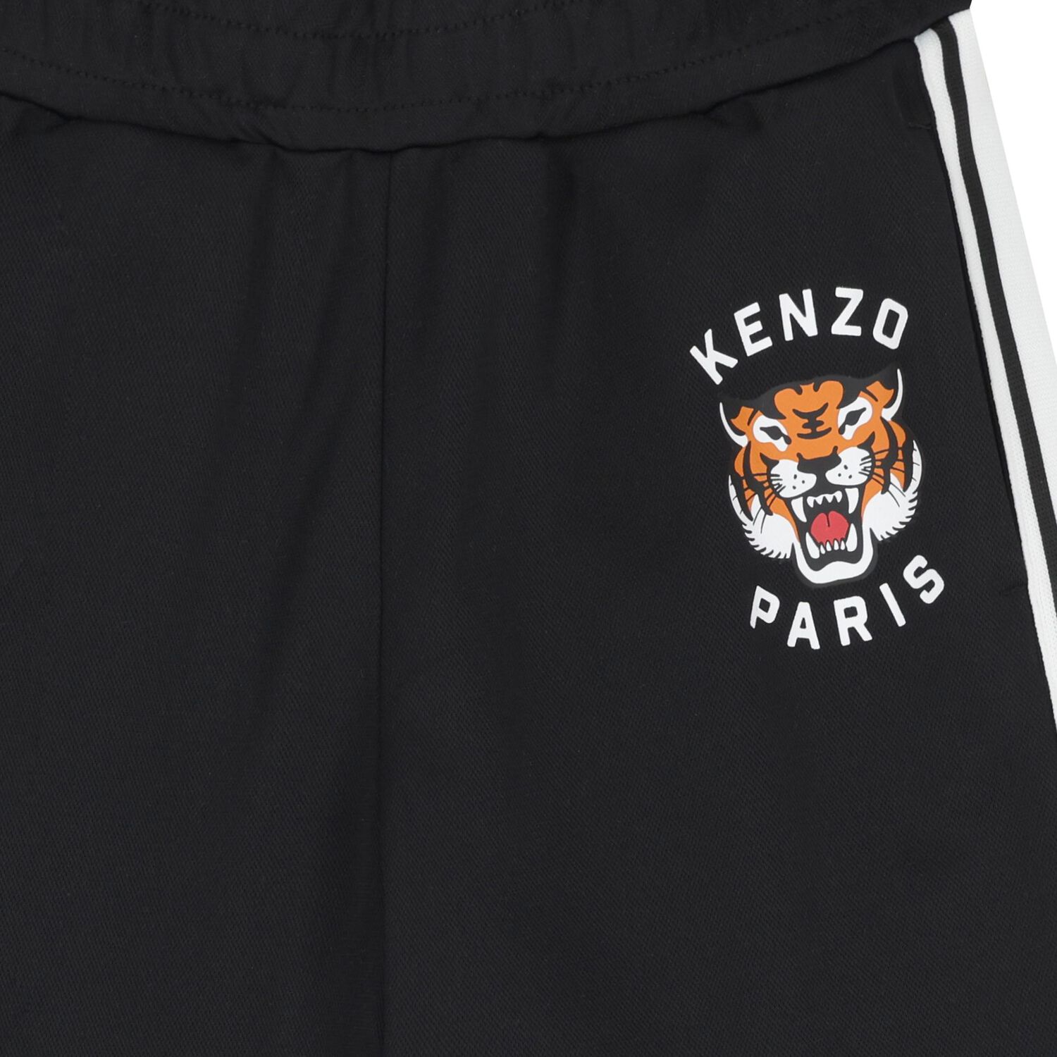 Black Tiger Logo Shorts, 1, hi-res