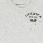 Boys Grey Logo T-Shirt, 2, hi-res