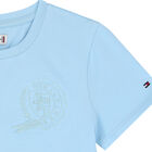 Girls Sky Blue Embroidered Logo T-Shirt, 1, hi-res