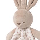 Ivory & Beige Squirrel Doudou Comforter, 1, hi-res