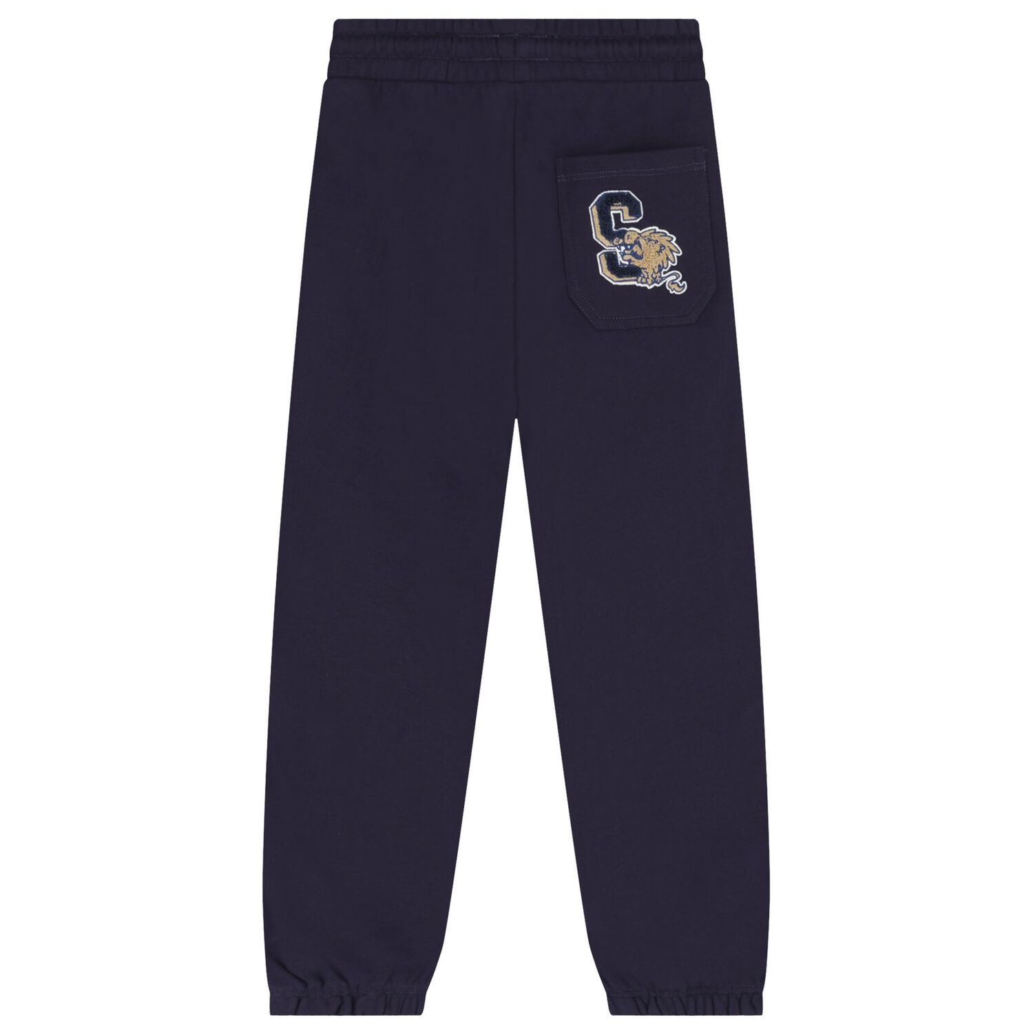 Boys Navy Blue Tiger Logo Joggers, 1, hi-res