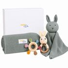 Pale Green Baby Blanket & Bunny Comforter Gift Set, 2, hi-res
