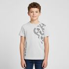 Boys Grey Logo T-Shirt, 2, hi-res