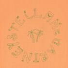 Boys Orange Logo T-Shirt, 1, hi-res