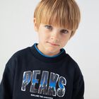Boys Navy Blue Sweatshirt, 1, hi-res