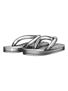 Flip Flops